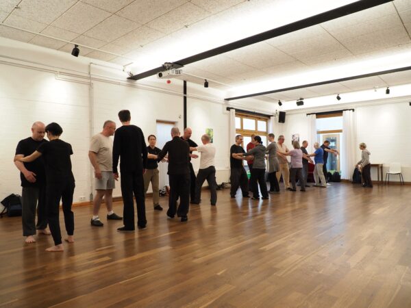 Push Hands Teacher Training